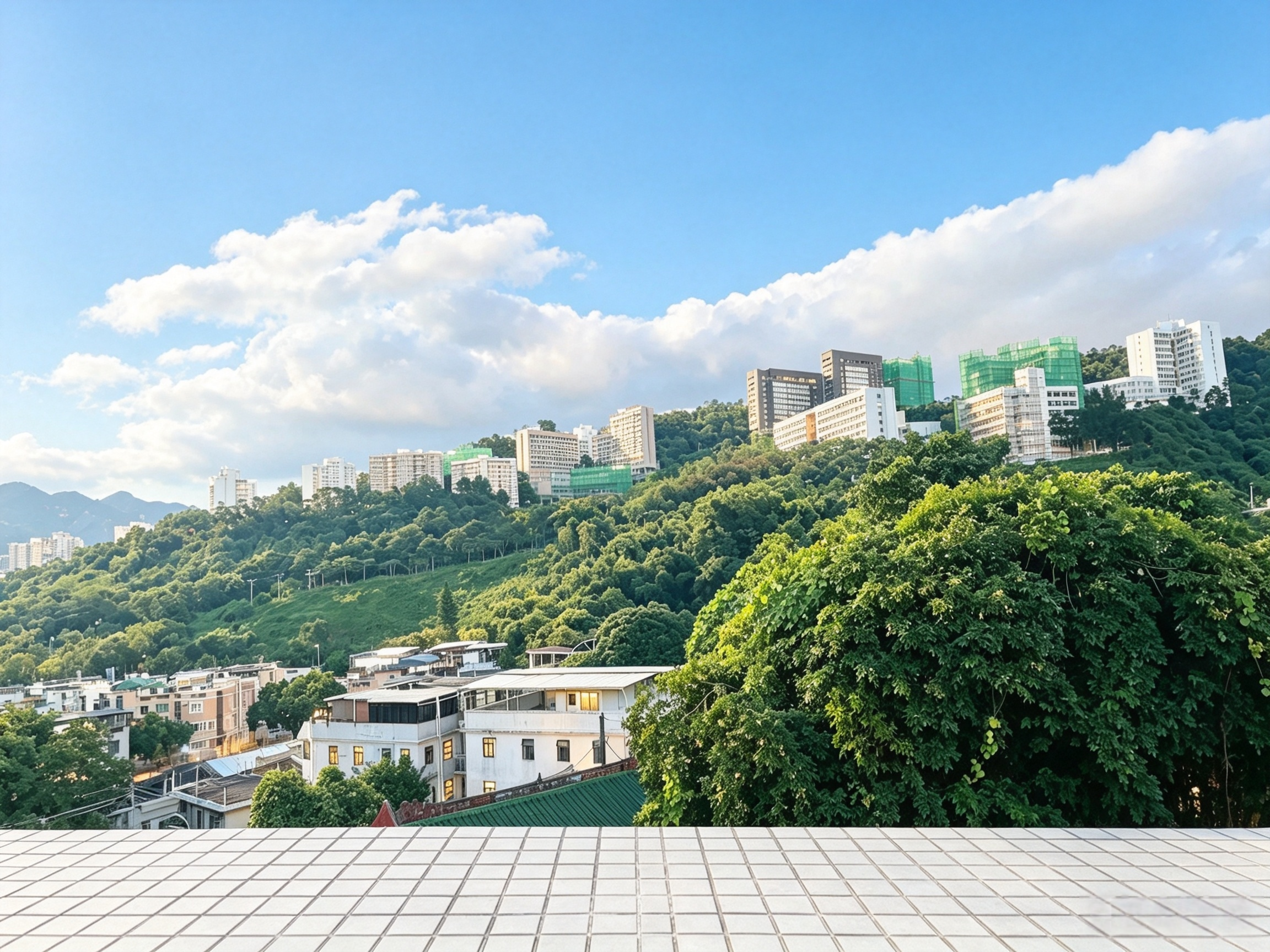 樟樹灘村