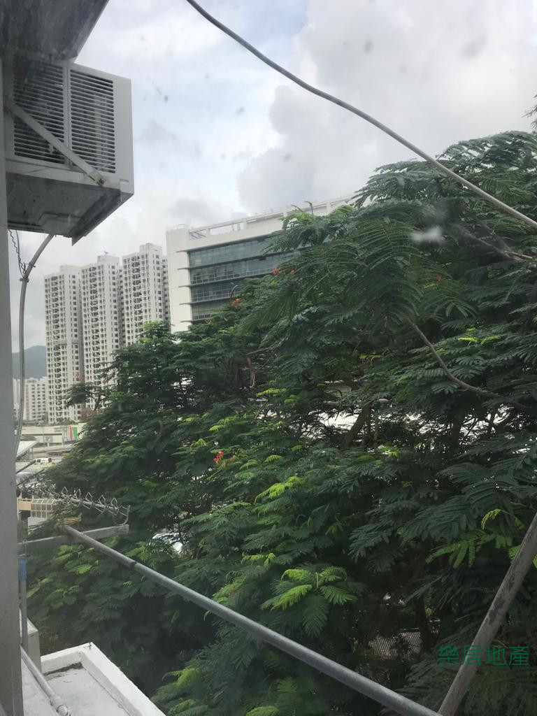 排頭村 - 樓盤相片